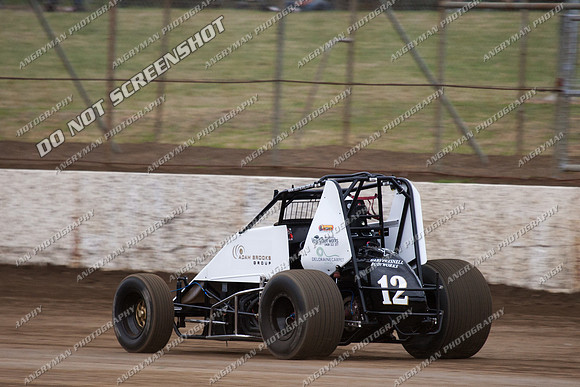 wingless 12 - 5 - Hobart 3rd Nov 2012-2