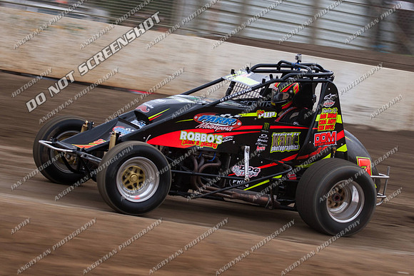 wingless 7 - 5 - Hobart 3rd Nov 2012-5