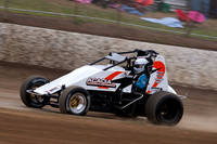 wingless 5 - 5 - Hobart 3rd Nov 2012