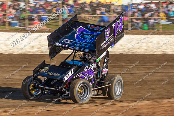 sprintcar 14 t14 mark house - 7 - Latrobe 17th Nov 2012-2