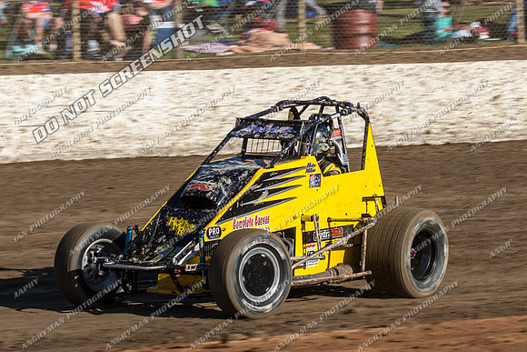 wingless 17 - 7 - Latrobe 17th Nov 2012