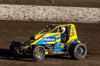 Wingless