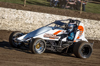 wingless 5 - 7 - Latrobe 17th Nov 2012