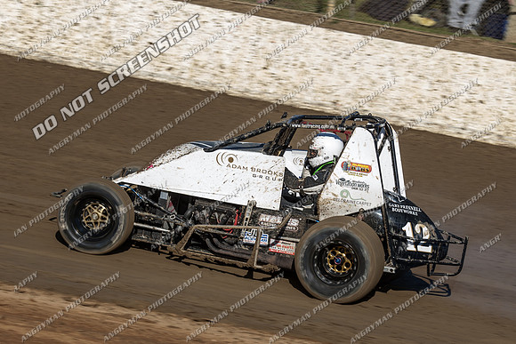 wingless 12 - 7 - Latrobe 17th Nov 2012-3