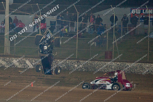 wingless 3 - 7 - Latrobe 17th Nov 2012-3