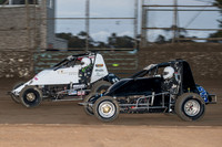 wingless 3 - 7 - Latrobe 17th Nov 2012-2