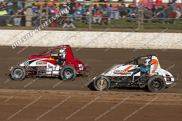 wingless 6 - 7 - Latrobe 17th Nov 2012-4