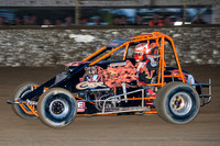 wingless 4 - 7 - Latrobe 17th Nov 2012-3