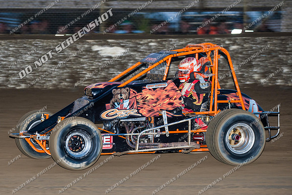 wingless 4 - 7 - Latrobe 17th Nov 2012-3
