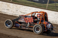 wingless 4 - 7 - Latrobe 17th Nov 2012-2
