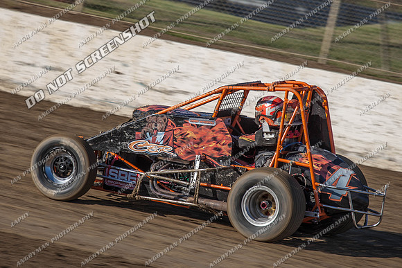 wingless 4 - 7 - Latrobe 17th Nov 2012-2