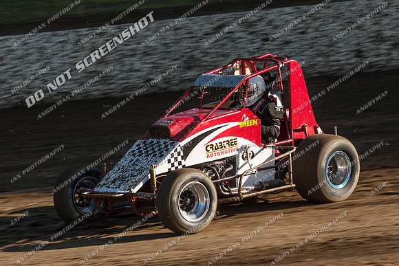 wingless 6 - 7 - Latrobe 17th Nov 2012-2