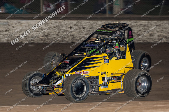 wingless 17 - 7 - Latrobe 17th Nov 2012-4