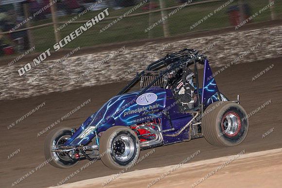 wingless 15 - 7 - Latrobe 17th Nov 2012-3
