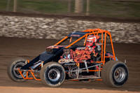wingless 4 - 7 - Latrobe 17th Nov 2012-4