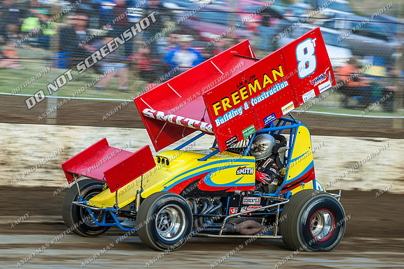 sprintcar 8 t8 t08 curt smith - 8 - Hobart 24th November 2012-5