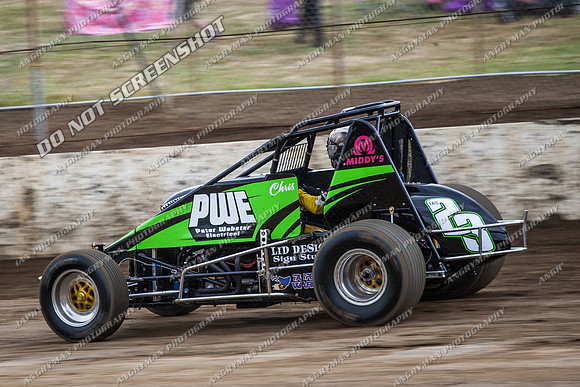 wingless 23 - 8 - Hobart 24th November 2012