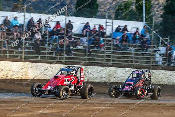 wingless 83 - 8 - Hobart 24th November 2012-8