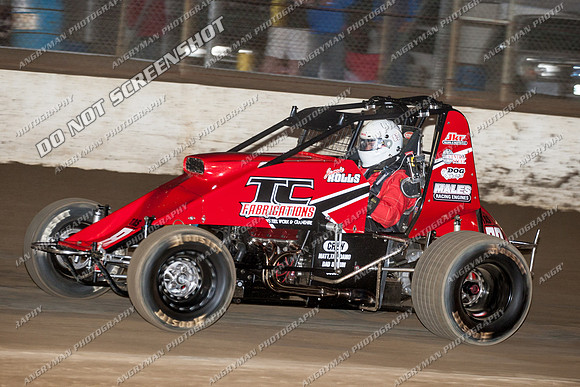 wingless 83 - 8 - Hobart 24th November 2012-9
