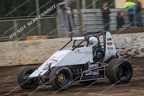 wingless 12 - 8 - Hobart 24th November 2012