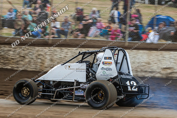 wingless 12 - 8 - Hobart 24th November 2012-4