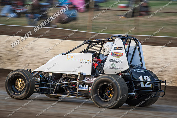 wingless 12 - 8 - Hobart 24th November 2012-7