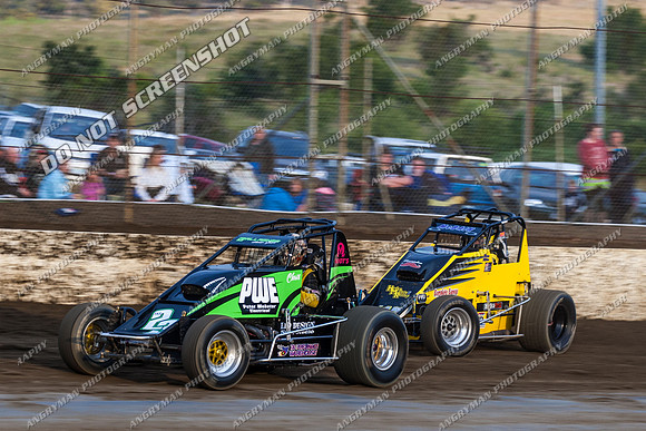 wingless 23 - 8 - Hobart 24th November 2012-5