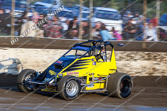 wingless 17 - 8 - Hobart 24th November 2012-4