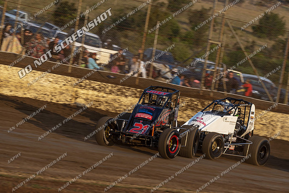 wingless 21 - 8 - Hobart 24th November 2012-4