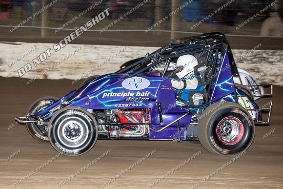 wingless 15 - 8 - Hobart 24th November 2012-4