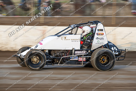 wingless 12 - 8 - Hobart 24th November 2012-6