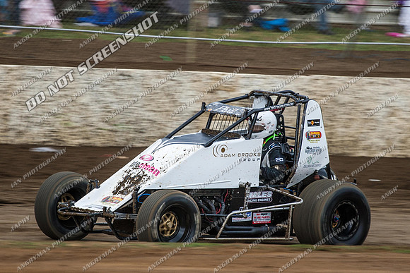 wingless 12 - 8 - Hobart 24th November 2012-2