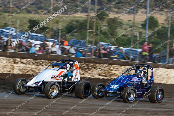 wingless 15 - 8 - Hobart 24th November 2012-3
