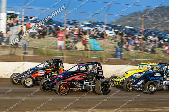 wingless 21 - 8 - Hobart 24th November 2012-3