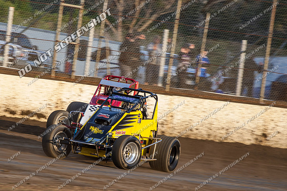 wingless 17 - 8 - Hobart 24th November 2012-3