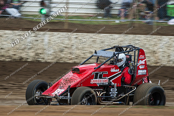 wingless 83 - 8 - Hobart 24th November 2012-4
