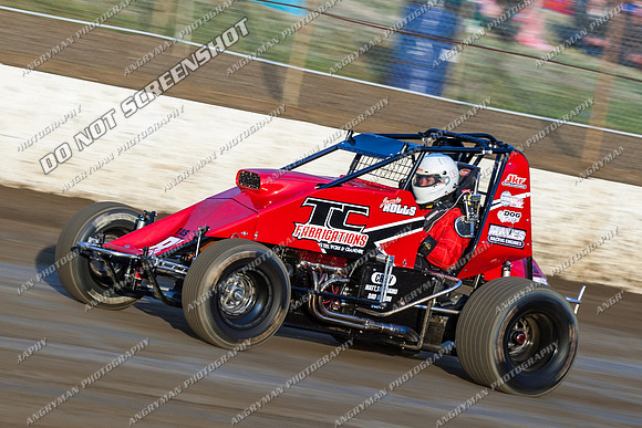 wingless 83 - 8 - Hobart 24th November 2012-6