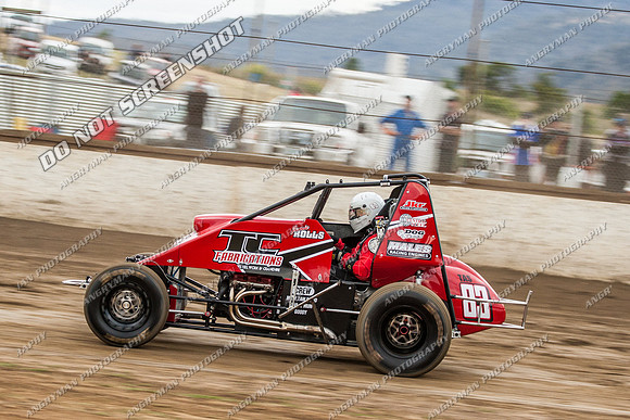 wingless 83 - 8 - Hobart 24th November 2012-2