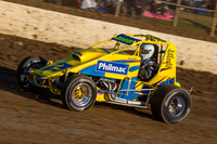 wingless 2 t2 bissett - 13 - Latrobe - 1st Jan 2013-3