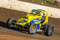 Wingless
