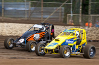 Wingless