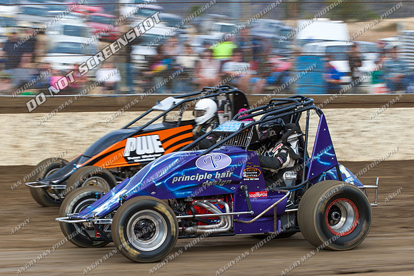 wingless 15 t15 brad herbert - 19 - Hobart- 26th Jan 2013 - NSSS & Grand National-5