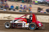 wingless 6 chris breen - 19 - Hobart- 26th Jan 2013 - NSSS & Grand National-3