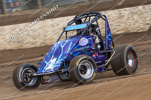 wingless 15 t15 brad herbert - 19 - Hobart- 26th Jan 2013 - NSSS & Grand National-4