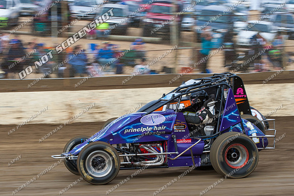 wingless 15 t15 brad herbert - 19 - Hobart- 26th Jan 2013 - NSSS & Grand National-6