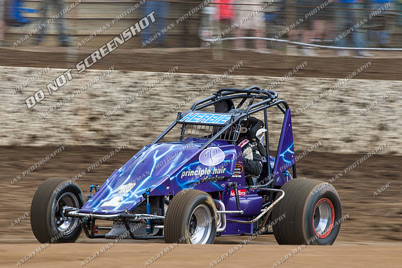 wingless 15 t15 brad herbert - 19 - Hobart- 26th Jan 2013 - NSSS & Grand National-7
