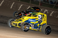 Wingless