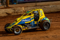 Wingless
