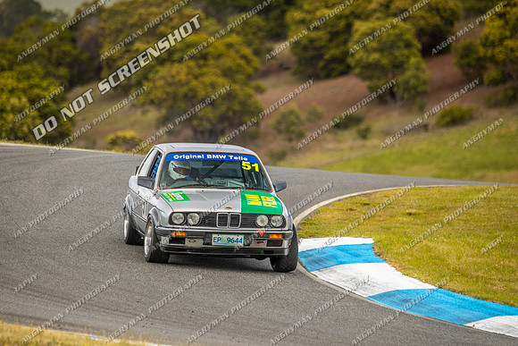 Muscle Car Cup - 51 - Baskerville Historics 2024-4