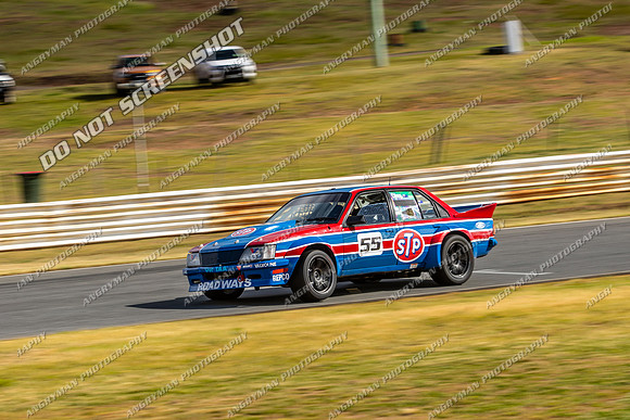 Muscle Car Cup - 55 - Baskerville Historics 2024-24